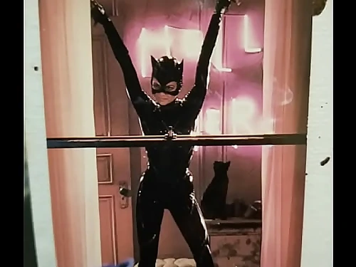 Catwoman nerd porn by Max Shenanigans